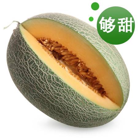 西域饋贈(zèng)，甜蜜當(dāng)季——新疆哈密瓜與西州蜜瓜批發(fā)指南